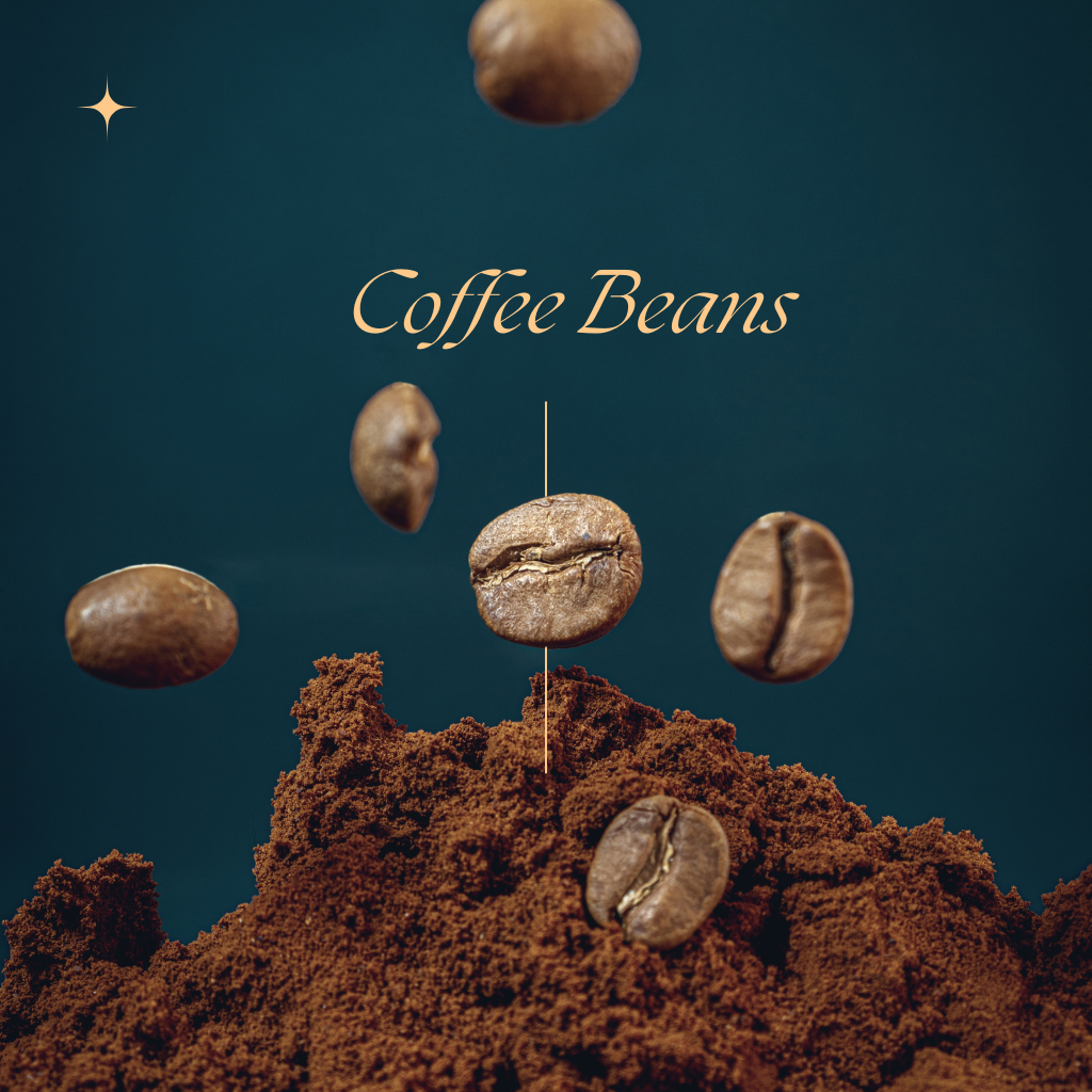 Coffee Beans & Origins: Exploring the World’s Favorite Brew